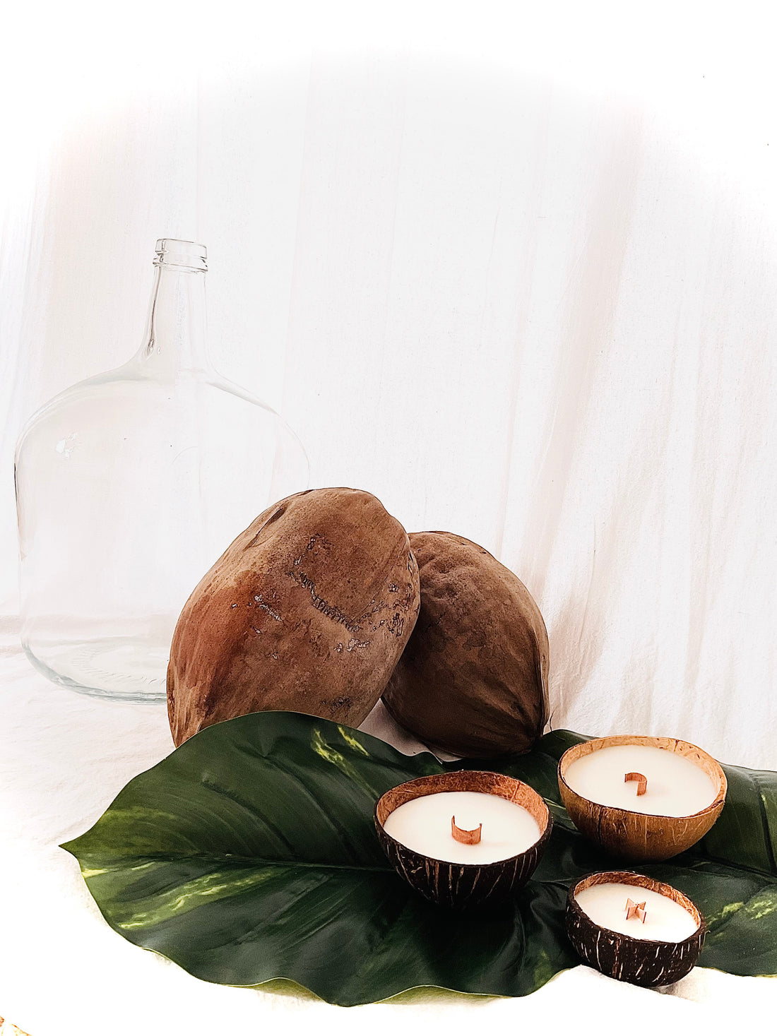 Coconut candle  bougie végétale Água Benta